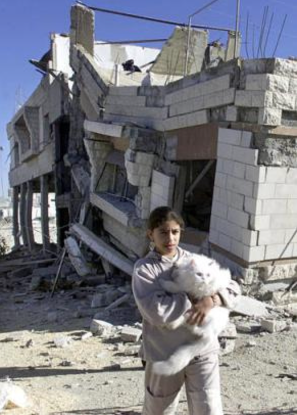 When War Erases Wildlife: Silent Victims of Conflict